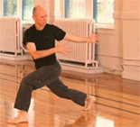 Learn how to train a tangle of dragons